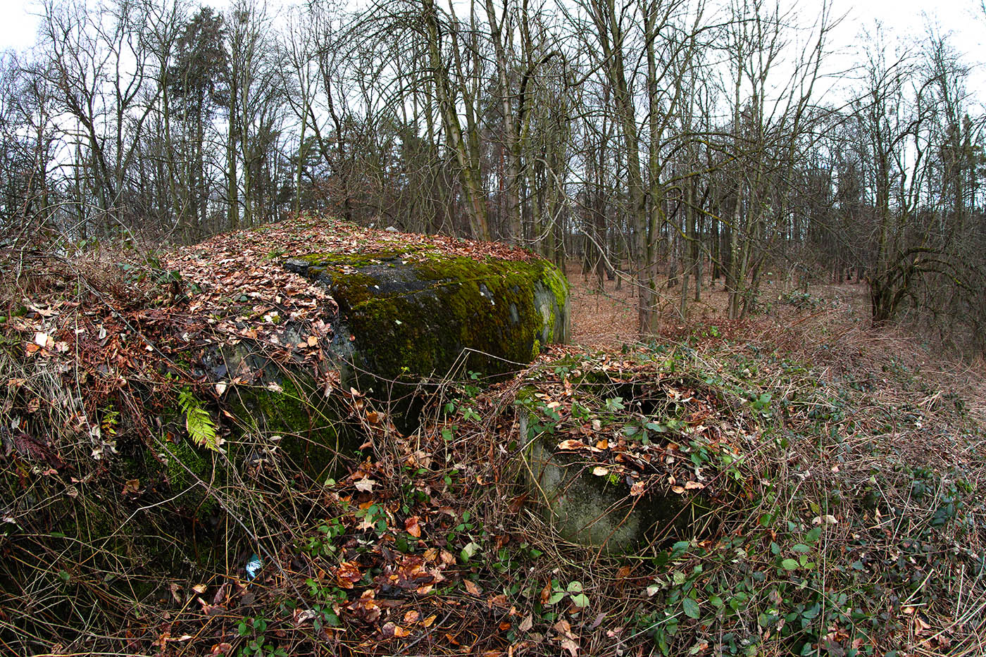 mos14 Juliánka-5.jpg